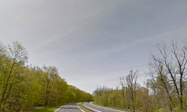 taconic